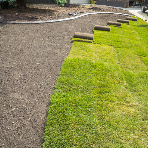 sod installation